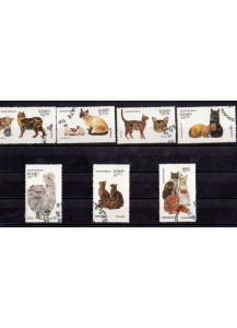 OMAN francobolli tematica gatti usati serietta