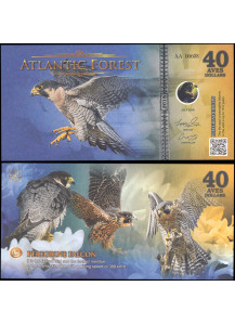 FORESTA ATLANTICA  40 Aves Dollars 2018 Falco pellegrino