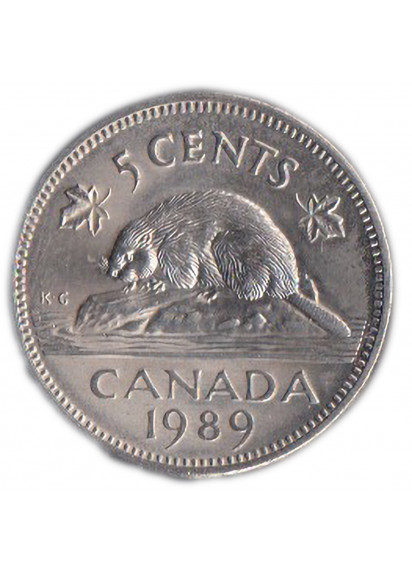 1989 - CANADA 5 cents Nickel Castoro Stupenda conservazione