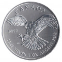 2014 - CANADA 5 Dollari Ag Falco Pellegrino 1 Oz Fdc