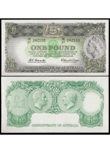 AUSTRALIA 1961-65 1 pound Quasi Fior di Stampa