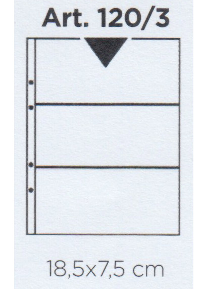 Fogli trasparenti per banconote, documenti e foglietti 3 divisioni 75 mm