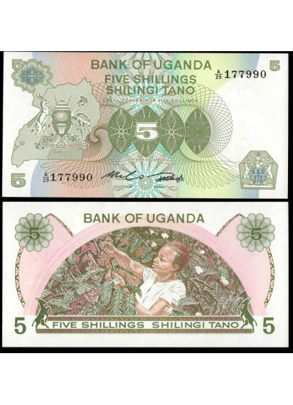 UGANDA 5 Shillings 1982 Fior di Stampa